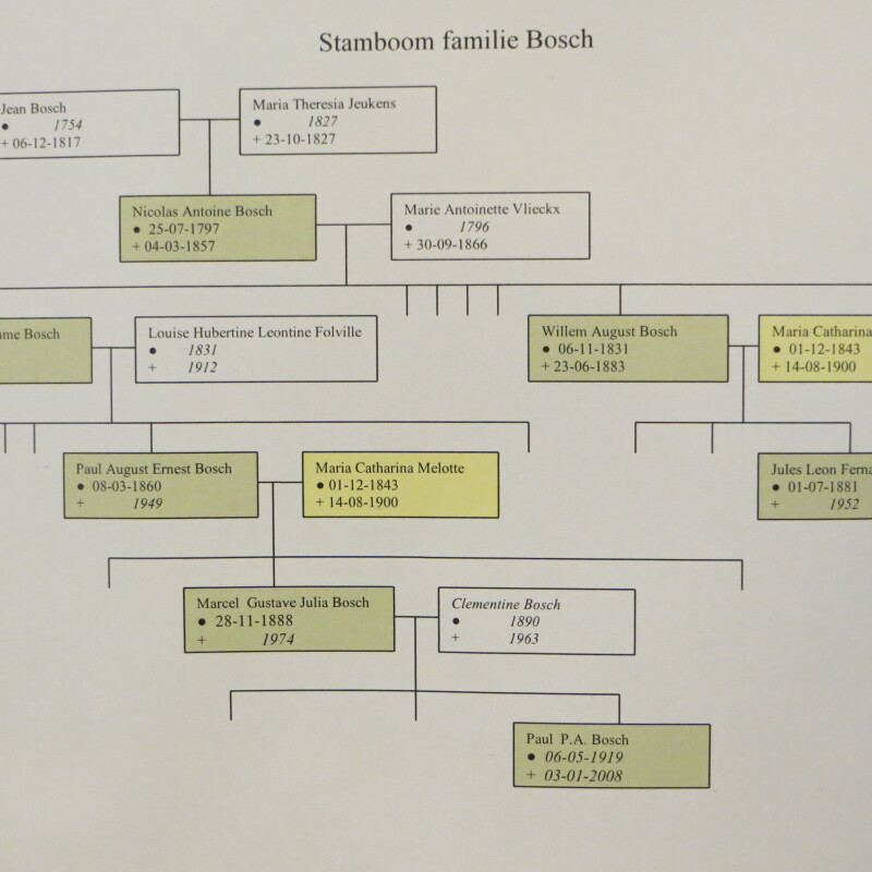 Stamboom.JPG